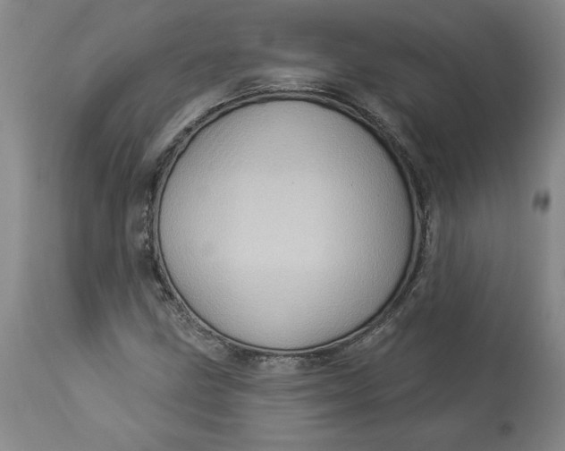 X0000114531211200911091103