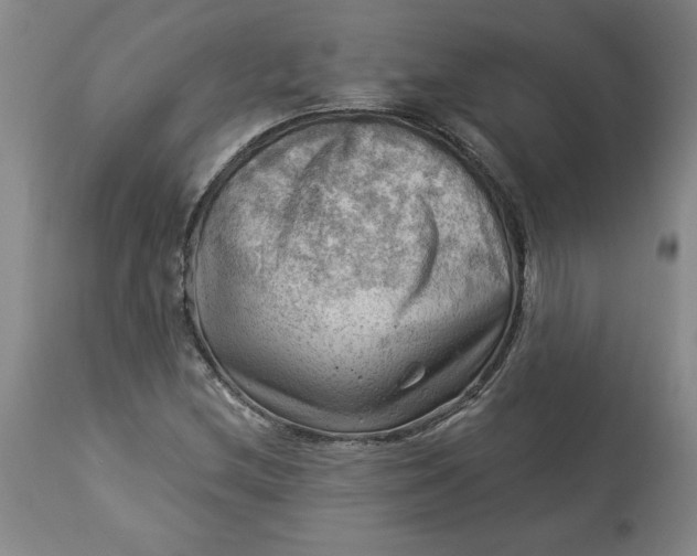 X0000114531212200911091103