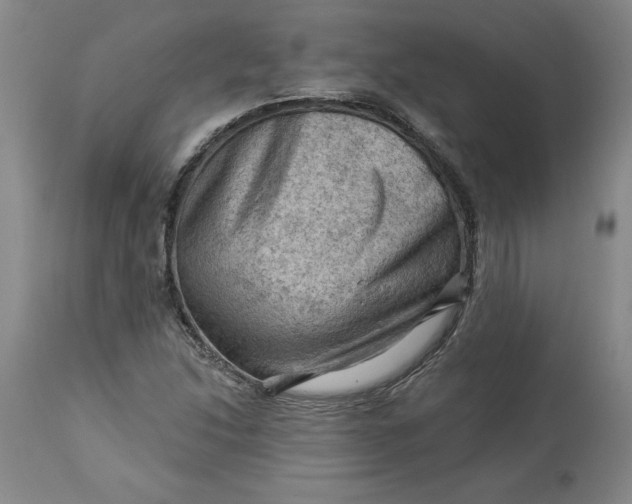 X0000114531214200911091103