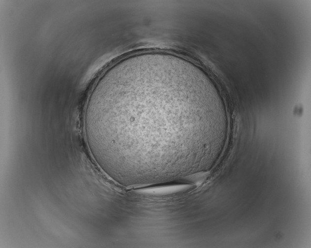 X0000114531215200911091103