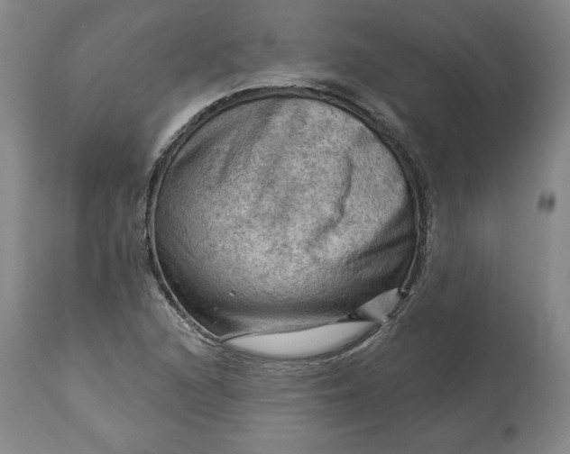 X0000114531216200911091103