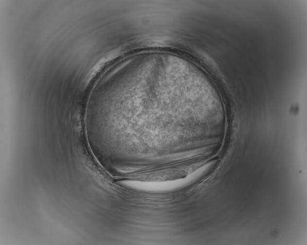 X0000114531218200911091103