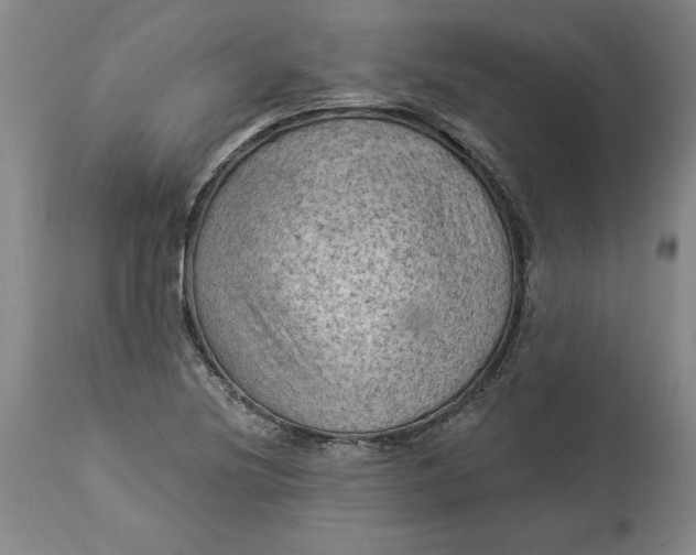 X0000114531220200911091103