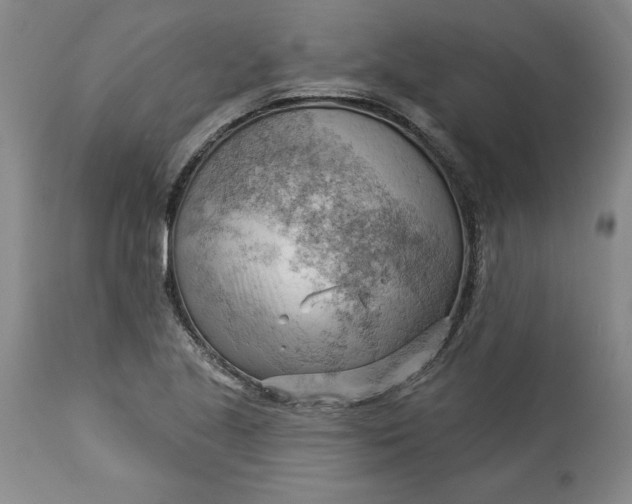X0000114531221200911091103