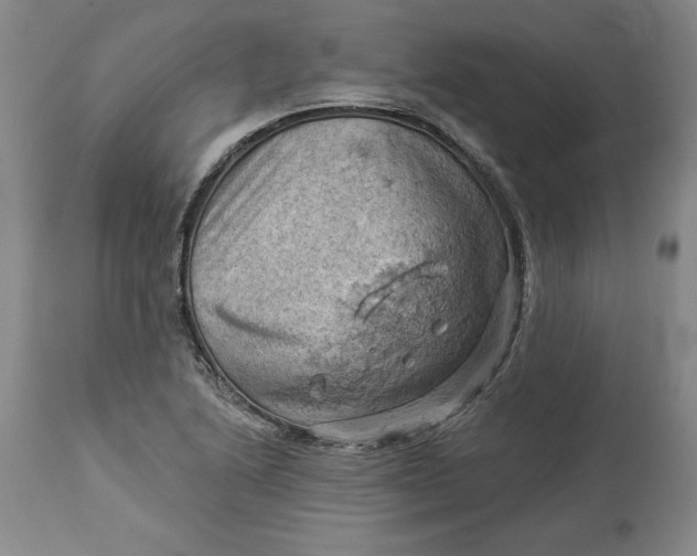 X0000114531222200911091103