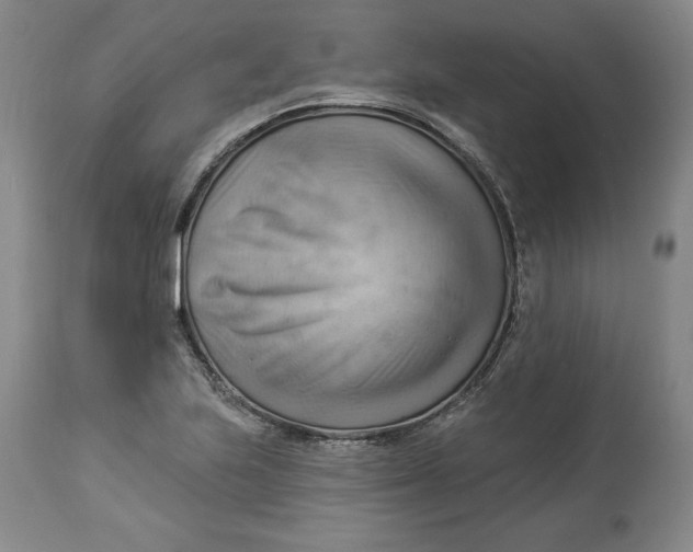 X0000114531223200911091103