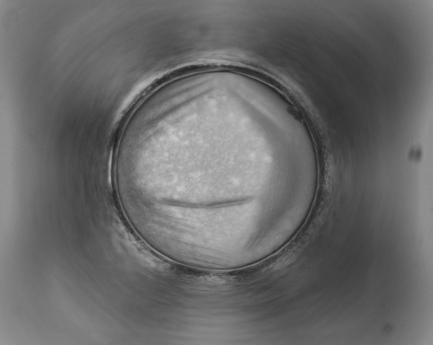 X0000114531224200911091103
