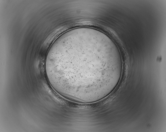 X0000114531225200911091103