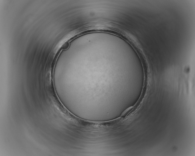 X0000114531226200911091103