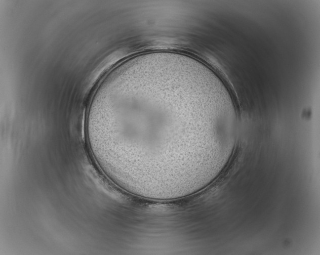 X0000114531227200911091103