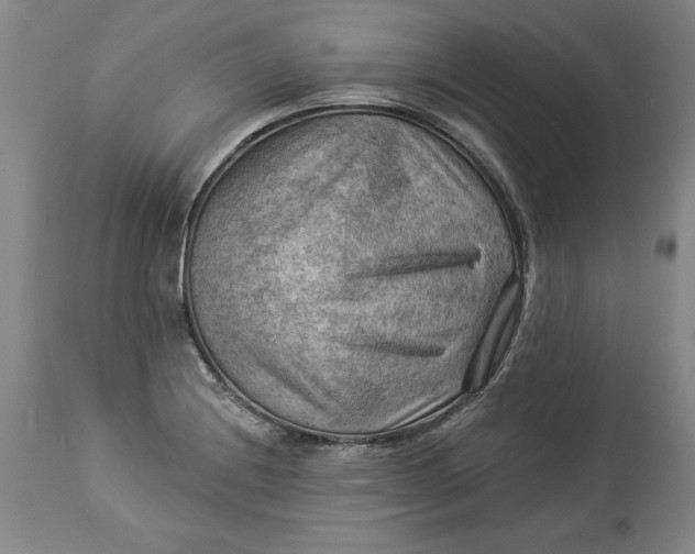 X0000114531228200911091103