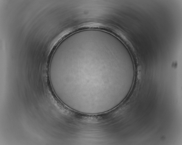 X0000114531229200911091103