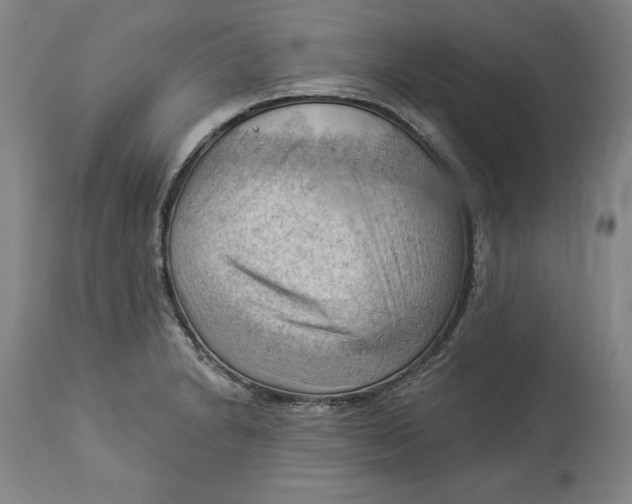 X0000114531230200911091103