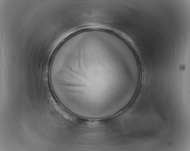 X0000114531231200911091103