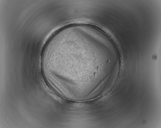 X0000114531232200911091103