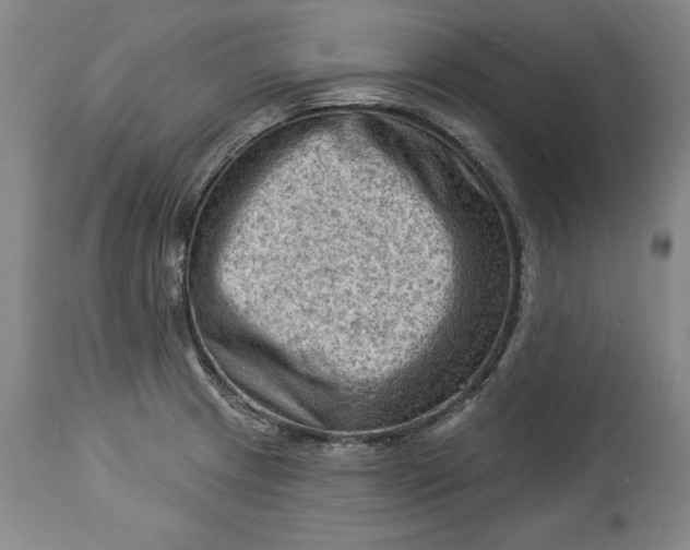 X0000114531233200911091103