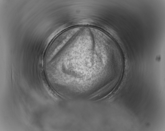 X0000114531234200911091103