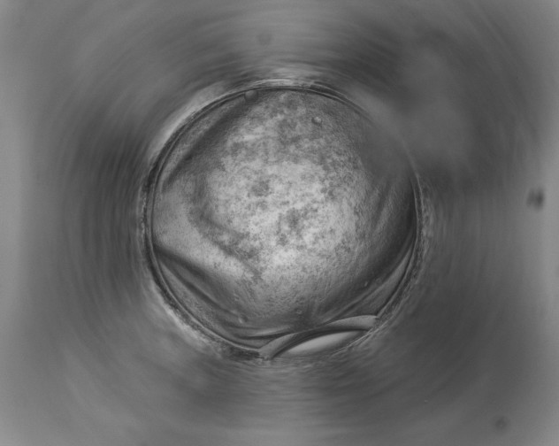 X0000114531235200911091103