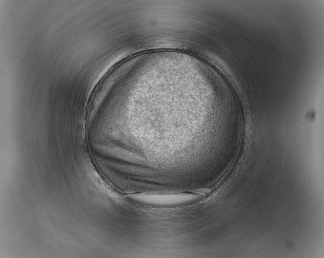 X0000114531236200911091103