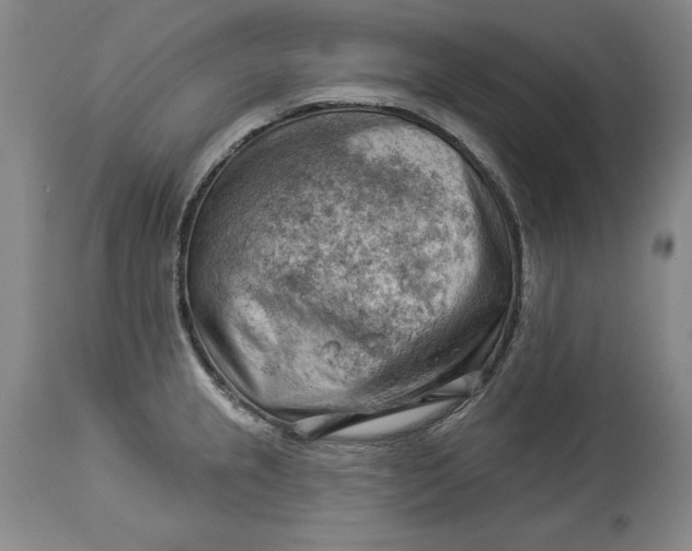 X0000114531237200911091103