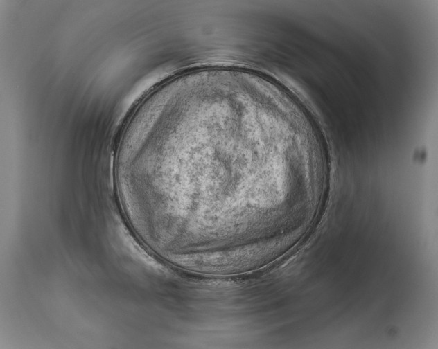 X0000114531238200911091103