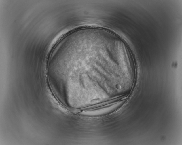 X0000114531240200911091103