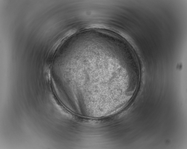 X0000114531241200911091103