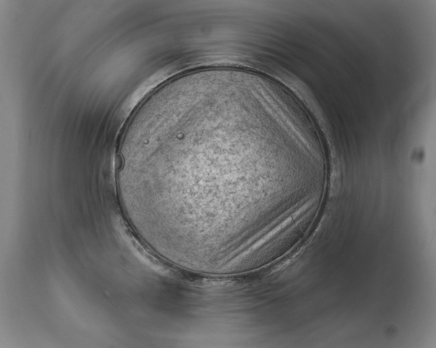 X0000114531242200911091103
