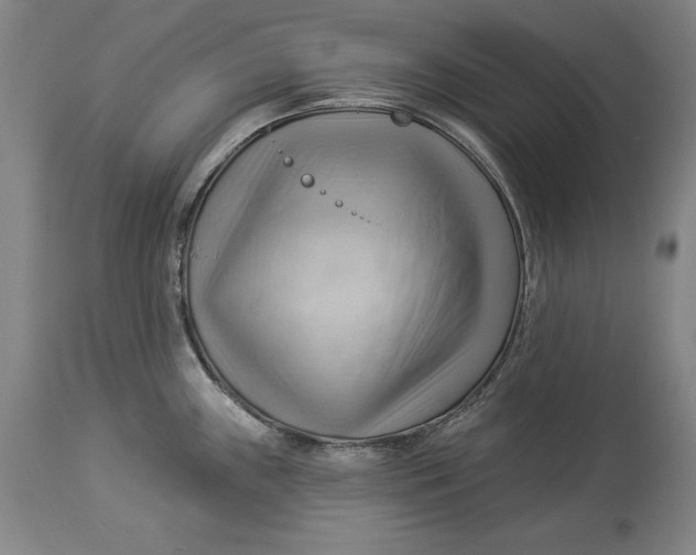 X0000114531243200911091103