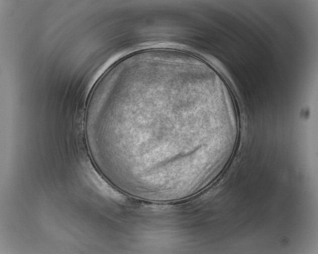 X0000114531244200911091103