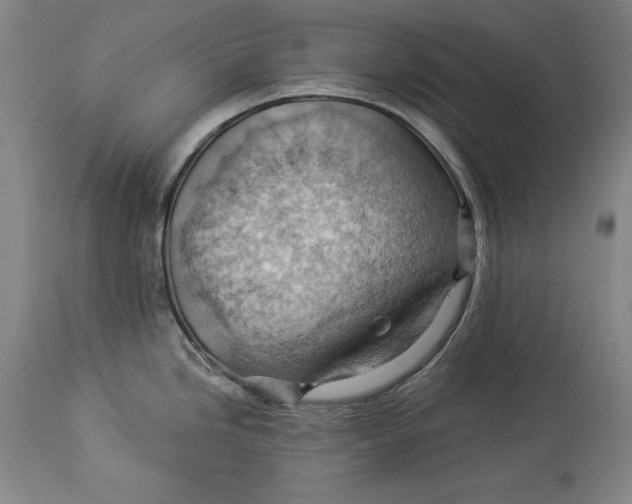 X0000114531246200911091103