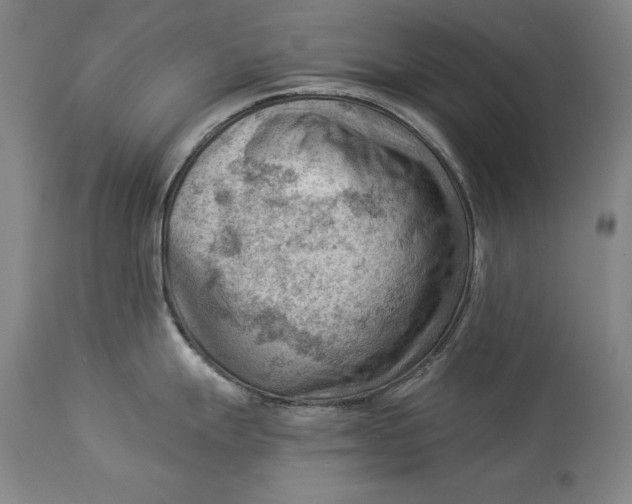 X0000114531247200911091104