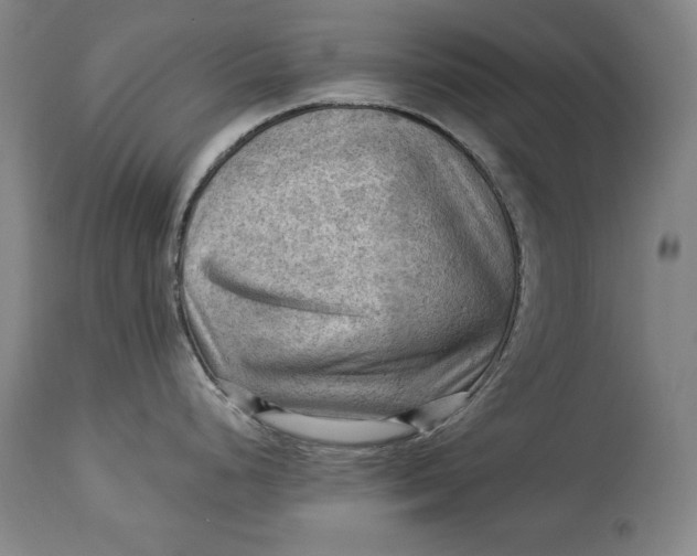 X0000114531248200911091104