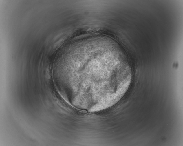 X0000114531250200911091103