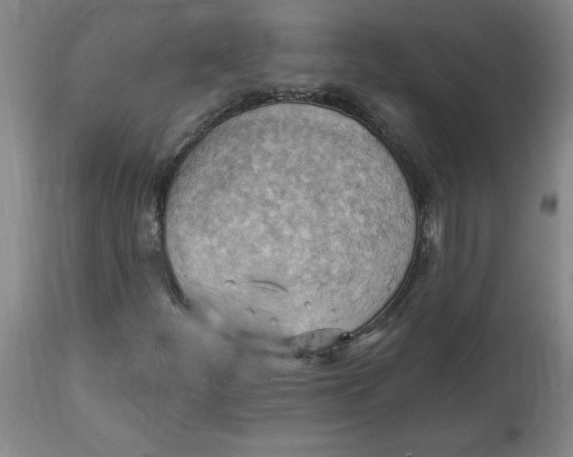 X0000114531252200911091103