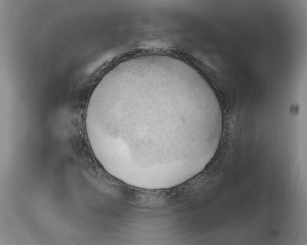 X0000114531254200911091103