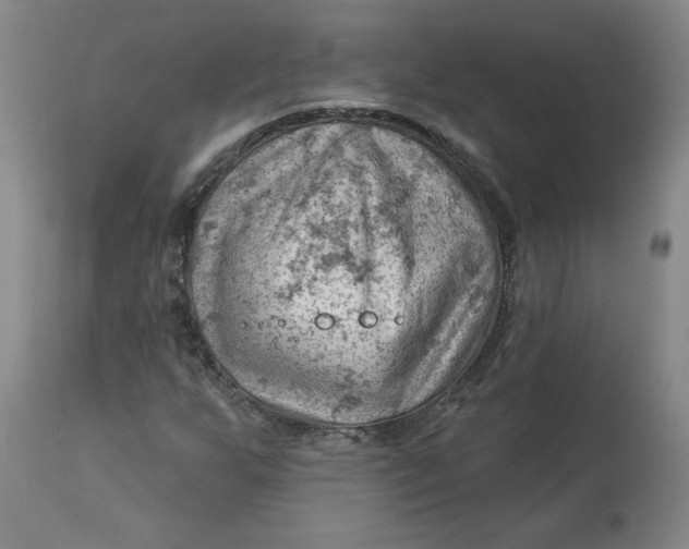 X0000114531255200911091103