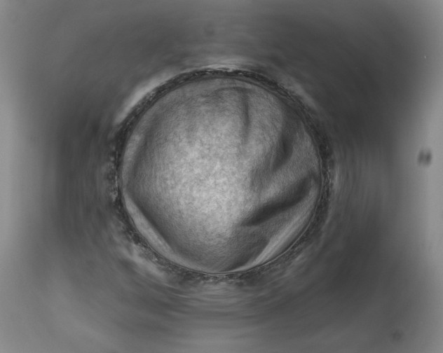 X0000114531256200911091103