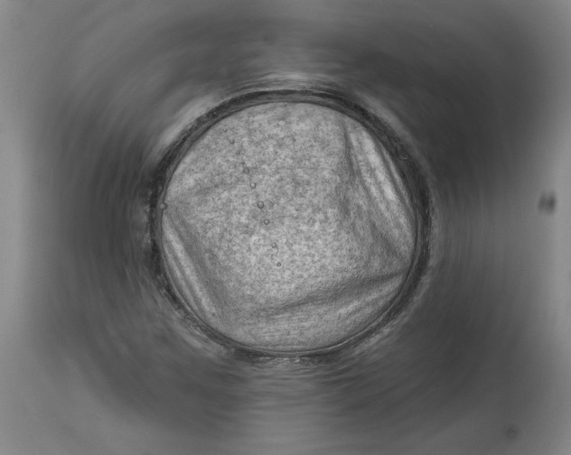 X0000114531259200911091103