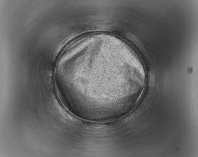 X0000114531260200911091103
