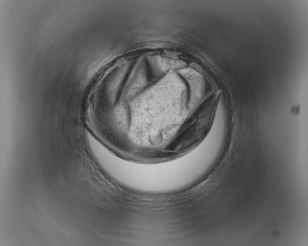 X0000114531261200911091103