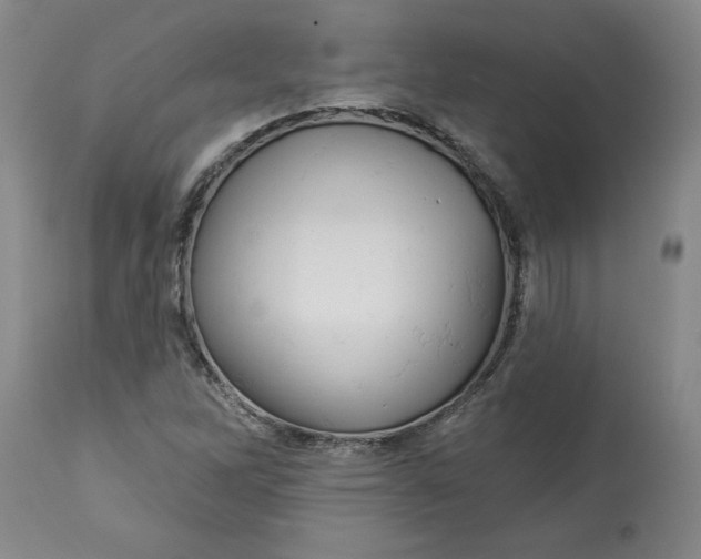 X0000114531262200911091103