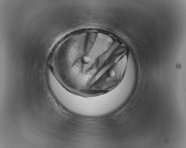 X0000114531264200911091103