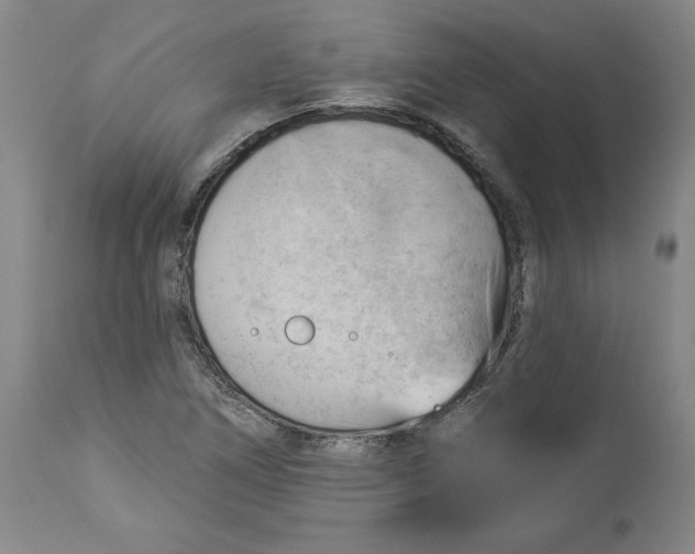 X0000114531266200911091103