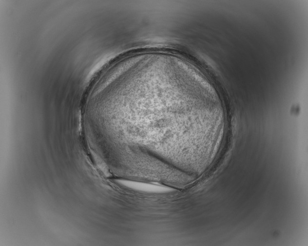 X0000114531267200911091103