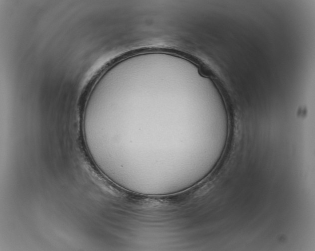 X0000114531270200911091103