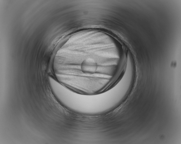 X0000114531273200911091103