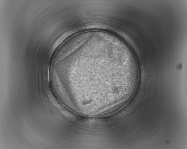 X0000114531274200911091103