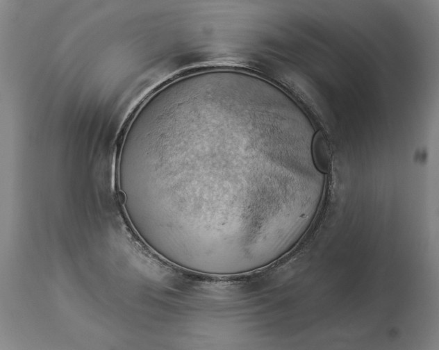 X0000114531276200911091102
