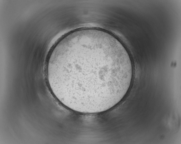 X0000114531278200911091102